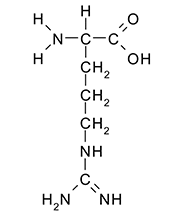 Arginín a jeho účinky