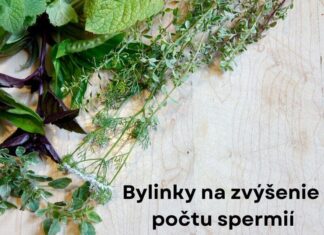 Druhy byliniek, ktoré prispievajú k vyššiemu počtu spermií