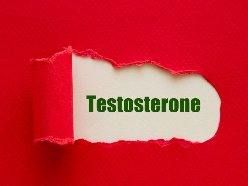 hladina testosterónu
