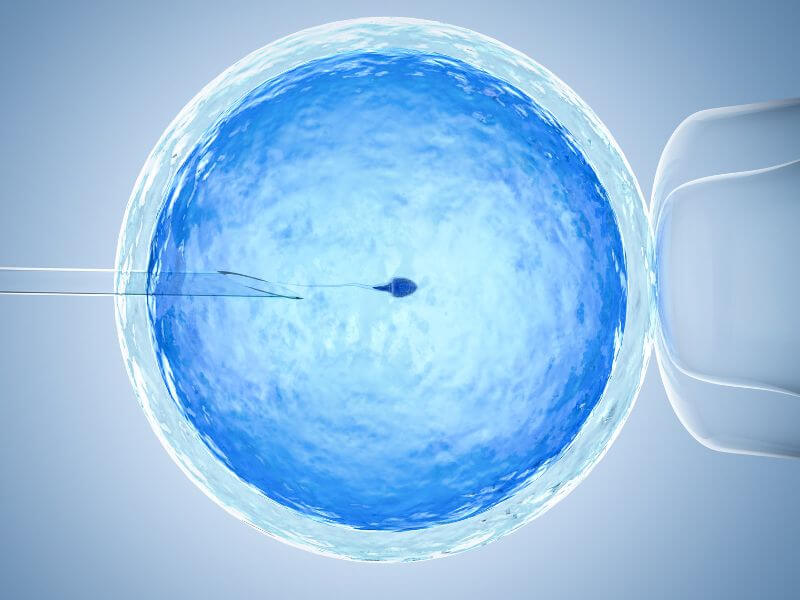 Selekcia spermie pod mikroskopom