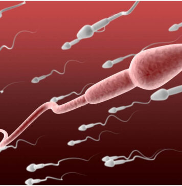 Spermie a fakty, ktoré ste možno o nich nevedeli